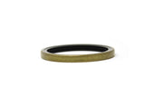 RADIAL LIP SEAL P/N 7170611