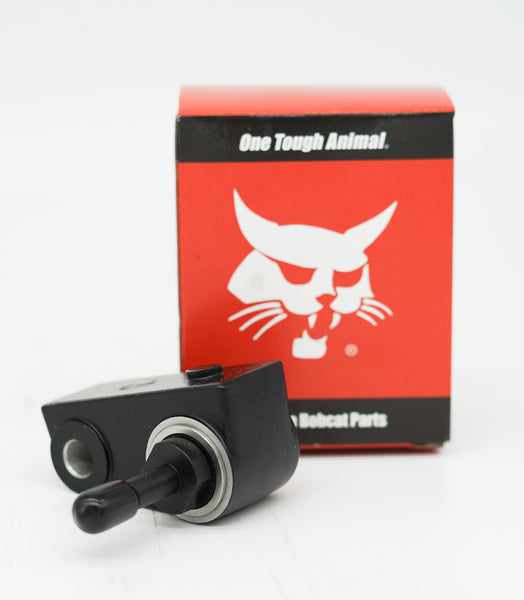 アクセサリー b DSC07820_600x600.jpg?v=1720206011